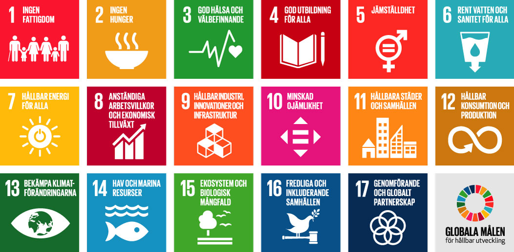 AGENDA 2030 – PROCESSDAG